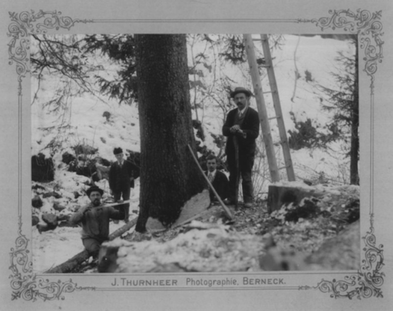TRONCONNEUSES et travail en forêt....en photos d'époque - Page 2 24410