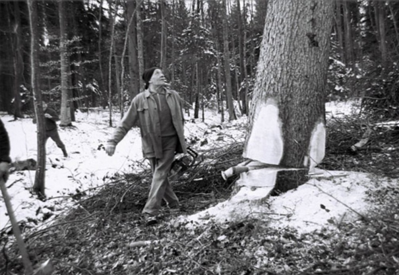 TRONCONNEUSES et travail en forêt....en photos d'époque - Page 2 25810