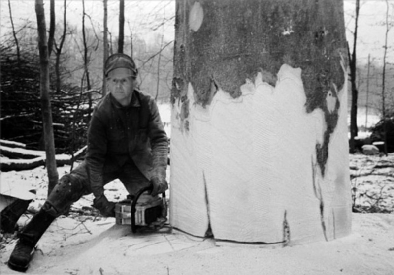 Tronçonneuses et travail au bois ....en photos d'époque 27510