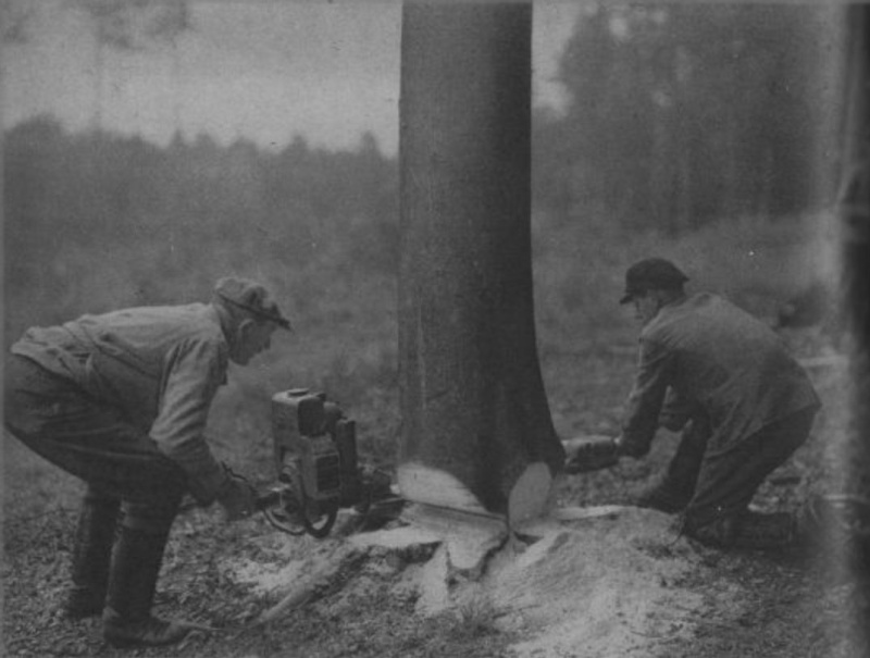 TRONCONNEUSES et travail en forêt....en photos d'époque - Page 2 28910