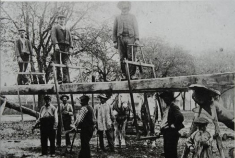 TRONCONNEUSES et travail en forêt....en photos d'époque - Page 2 35010