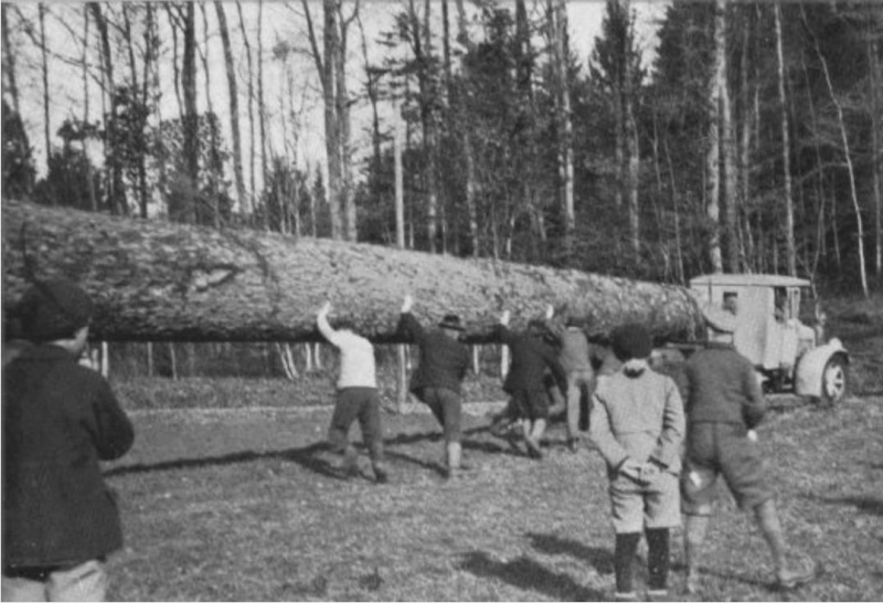 Tronçonneuses et travail au bois ....en photos d'époque - Page 2 40010