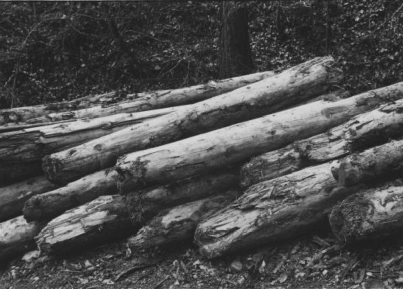 Tronçonneuses et travail au bois ....en photos d'époque - Page 2 40710