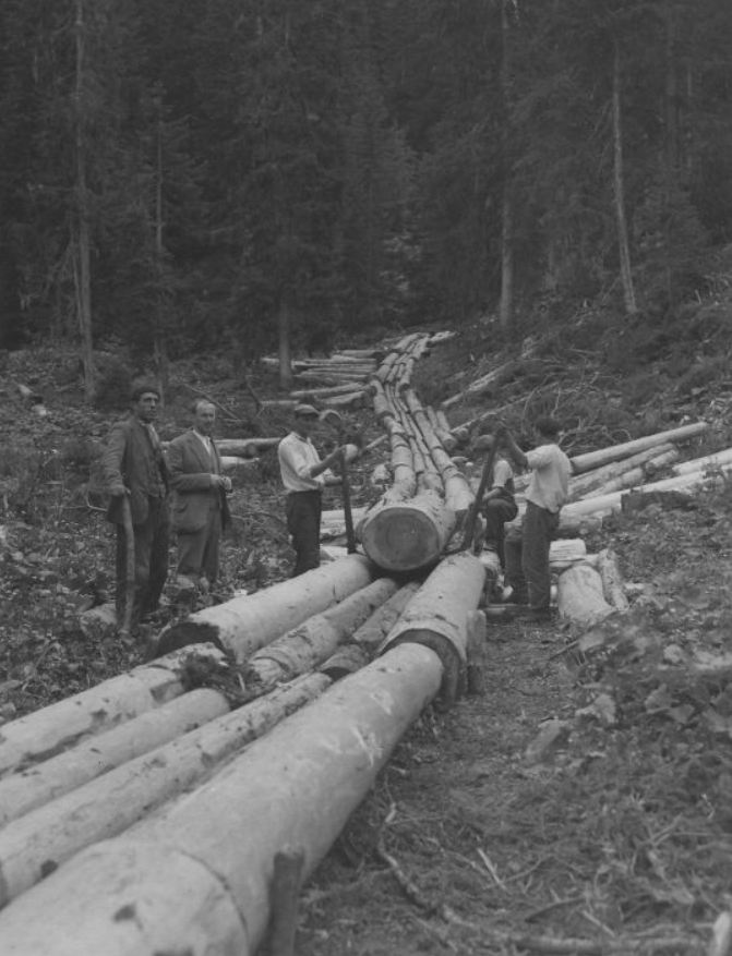 Tronçonneuses et travail au bois ....en photos d'époque - Page 2 43110