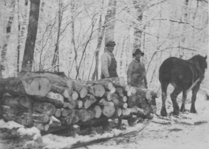 TRONCONNEUSES et travail en forêt....en photos d'époque - Page 3 45110