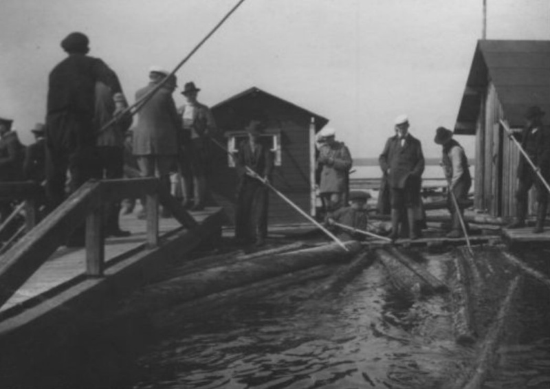 Tronçonneuses et travail au bois ....en photos d'époque - Page 3 45610