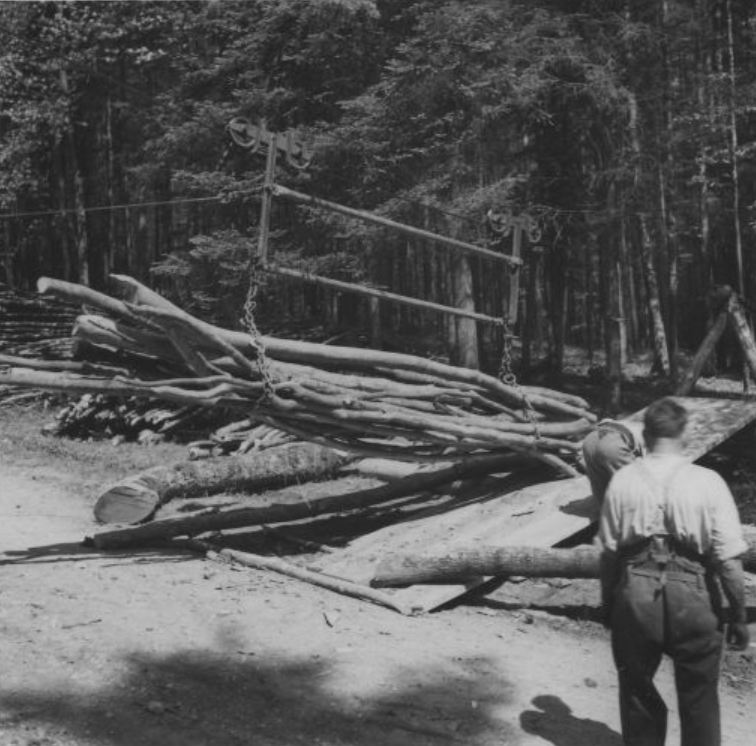 TRONCONNEUSES et travail en forêt....en photos d'époque - Page 3 45710
