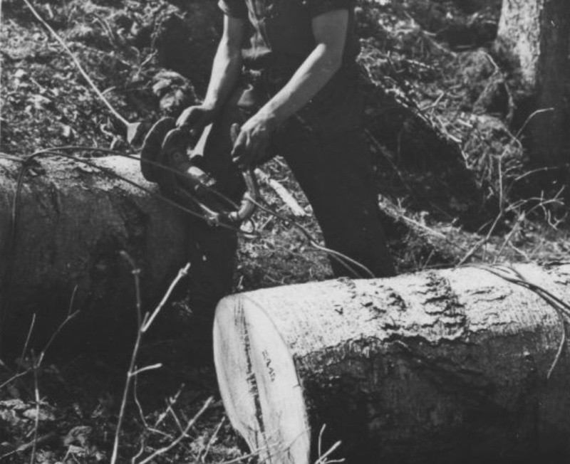 Tronçonneuses et travail au bois ....en photos d'époque - Page 3 47210