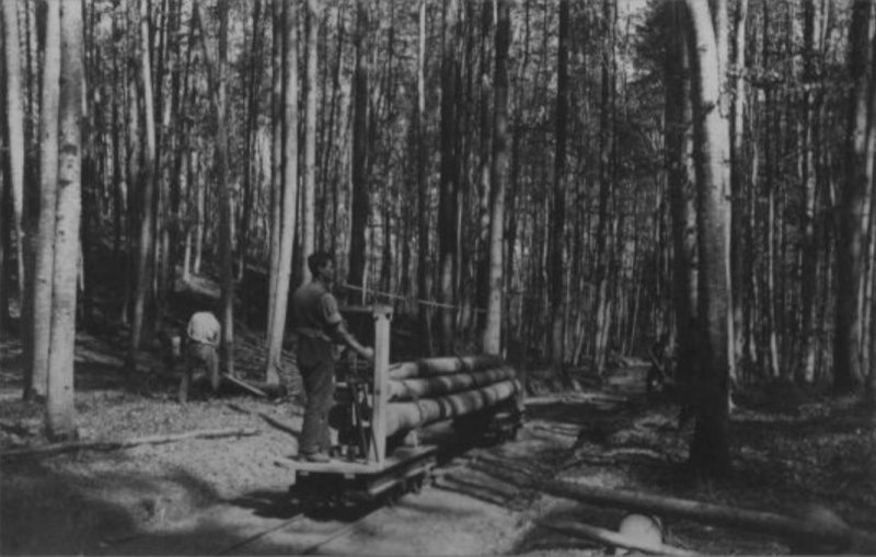 TRONCONNEUSES et travail en forêt....en photos d'époque - Page 3 47510
