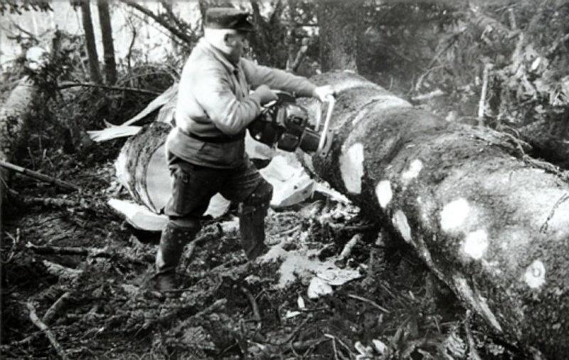 Tronçonneuses et travail au bois ....en photos d'époque 4910