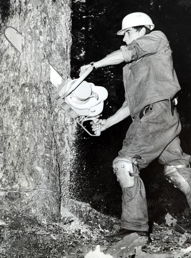 TRONCONNEUSES et travail en forêt....en photos d'époque 610