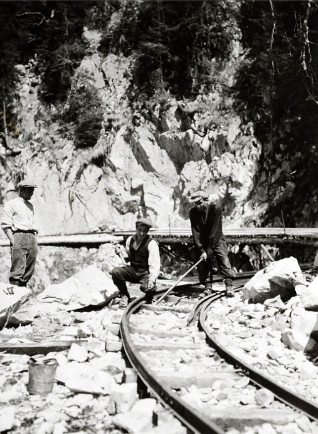 TRONCONNEUSES et travail en forêt....en photos d'époque - Page 4 65110