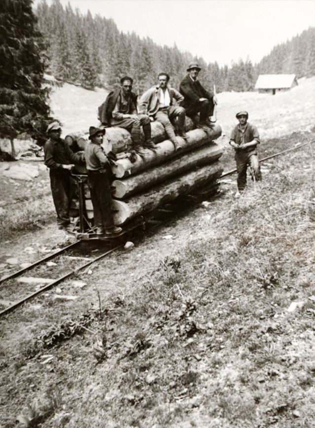 TRONCONNEUSES et travail en forêt....en photos d'époque - Page 4 65310