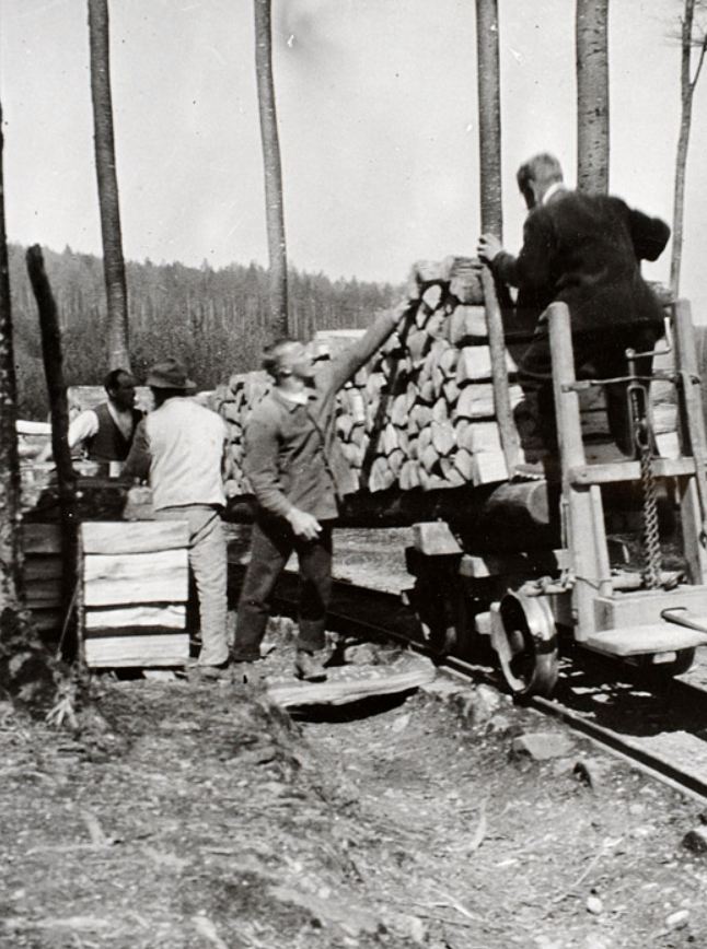 TRONCONNEUSES et travail en forêt....en photos d'époque - Page 4 65510