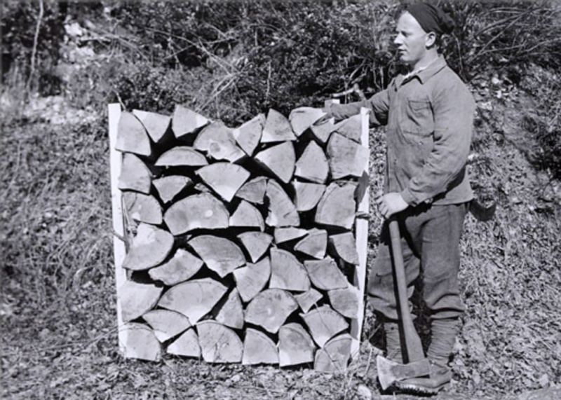 Tronçonneuses et travail au bois ....en photos d'époque 6910