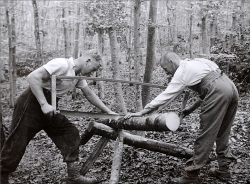 Tronçonneuses et travail au bois ....en photos d'époque 9210