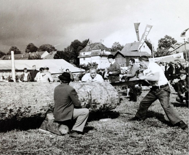 Tronçonneuses et travail au bois ....en photos d'époque Concou10