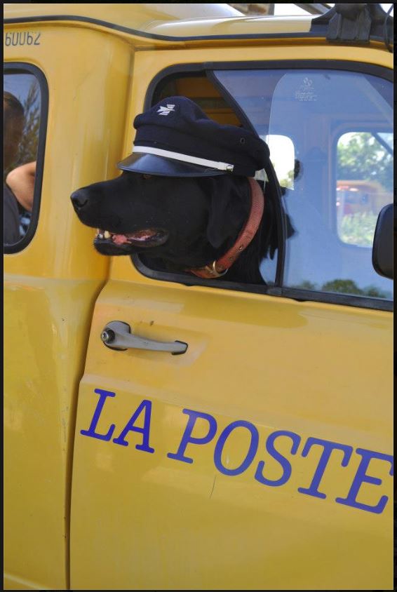 Camions-Bus-Utilitaires de collection dans le Rhône Facteu10