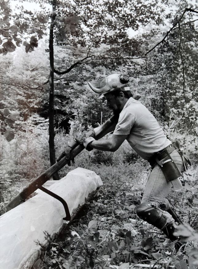 Tronçonneuses et travail au bois ....en photos d'époque Tronco19