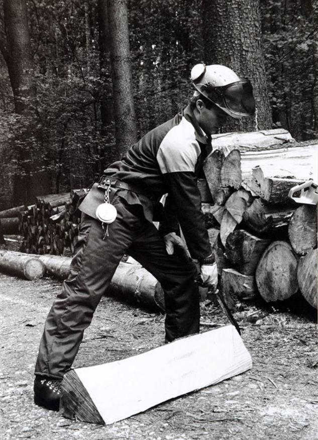 Tronçonneuses et travail au bois ....en photos d'époque Tronco23