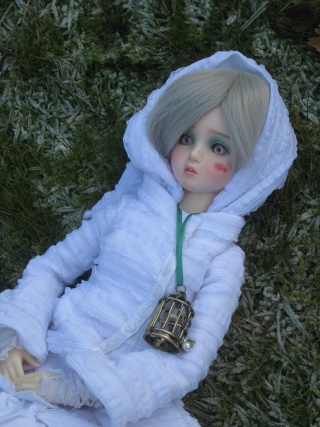 Les BJD de fanny: LTF Flora (Akira) p. 7 !! - Page 6 Arrahe13