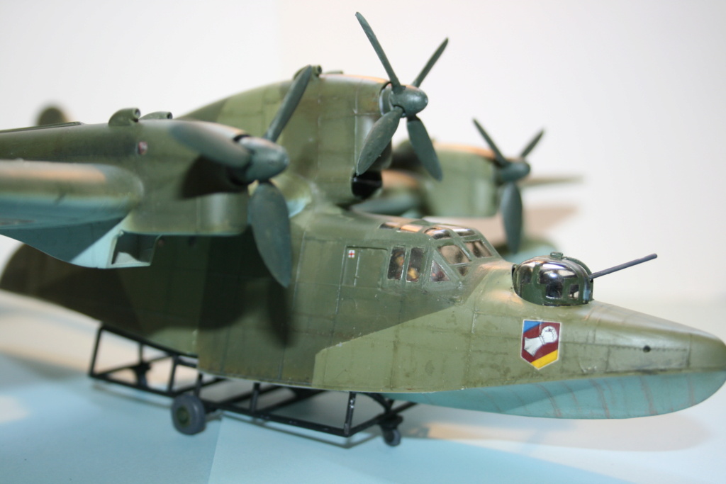 BV 138  super model Img_5616