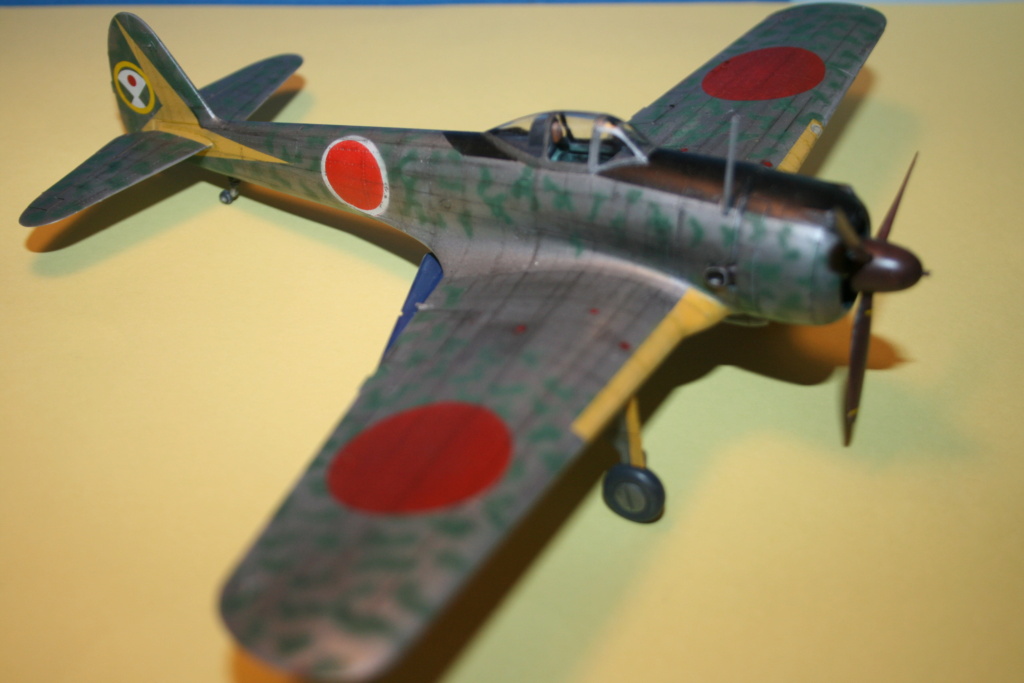 Nakajima Ki 43 - Hasegawa  1/48 Img_5718