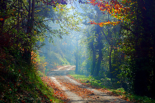 début d'automne 18046210