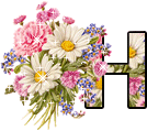 alphabet complet avec des fleurs H210