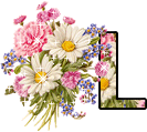 alphabet complet avec des fleurs L297