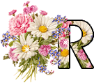 alphabet complet avec des fleurs R185