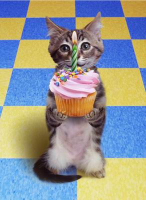 Joyeux Anniversaire Ninou Joyeux Anniversaire Ninou