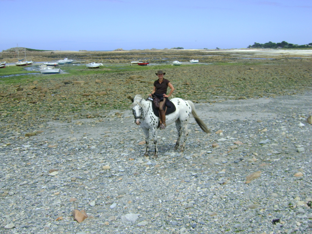 SOS cavalière bretonne Rando_10