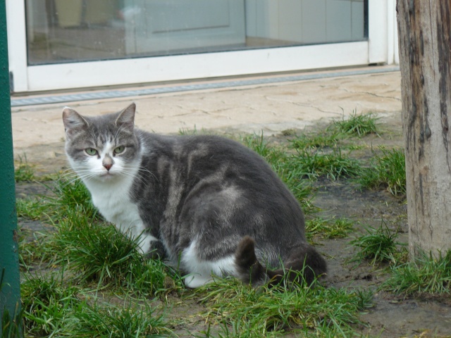 MARYLOU - Bleue et blanche - 3 ans P1080129