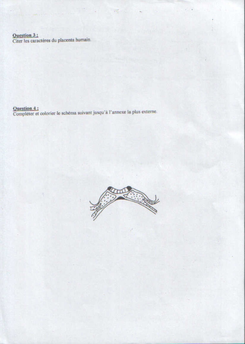 BIOLOGIE ANIMAL  (embryologie BA) Swscan15