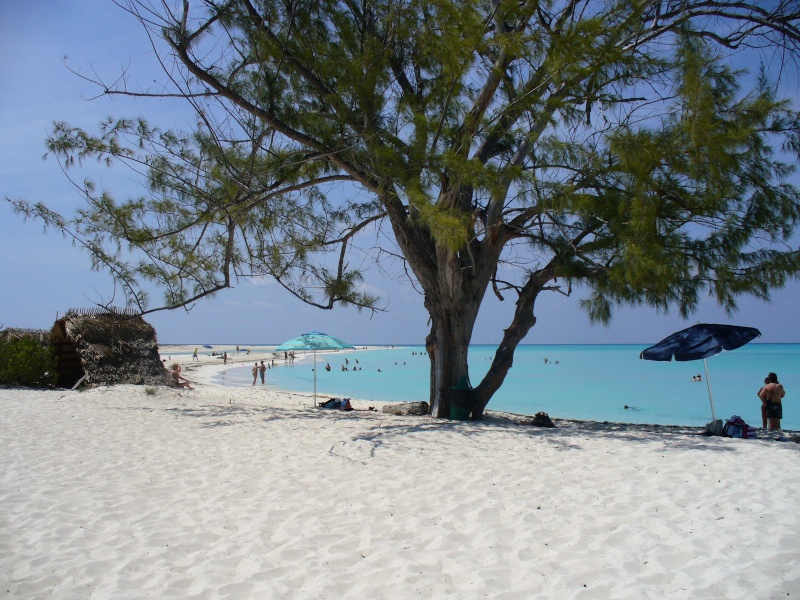 Quelques photos de Cayo Largo - Cuba Playa_10