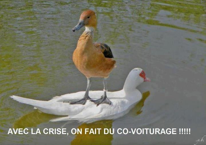 Humour en image ... - Page 7 La_cri10