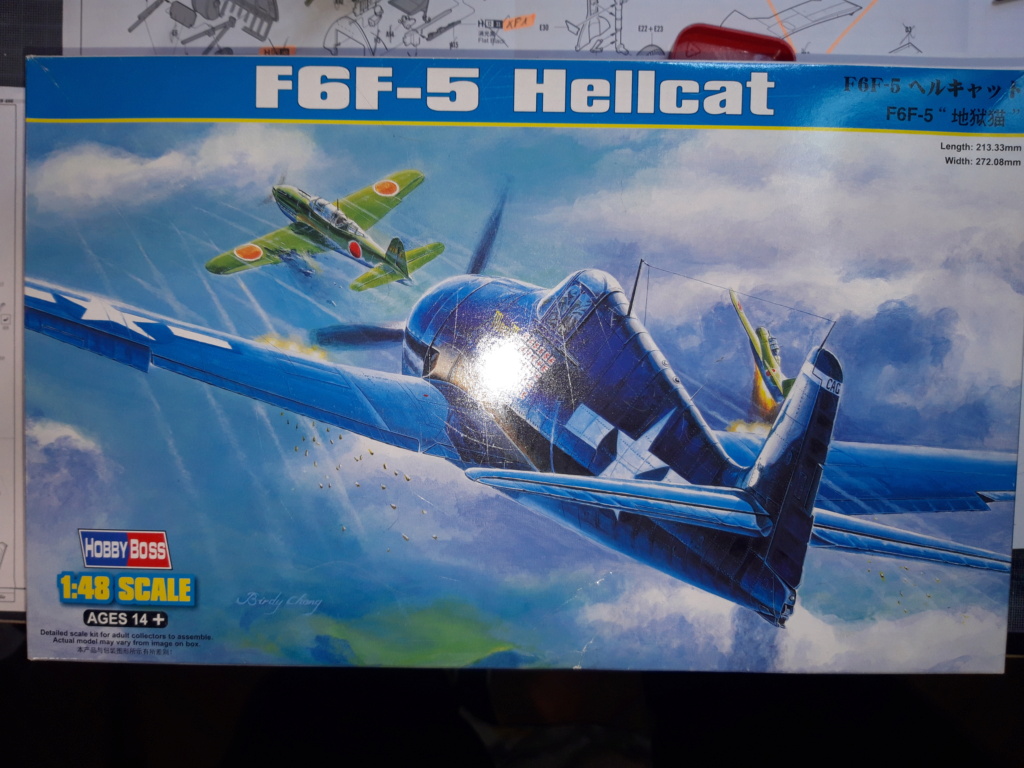 Hellcat F6F-5 au 1/48 123