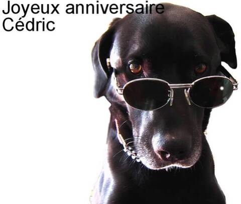 Anniversaire D Un Picasso Du Modelisme Anniversaire D Un Picasso Du Modelisme