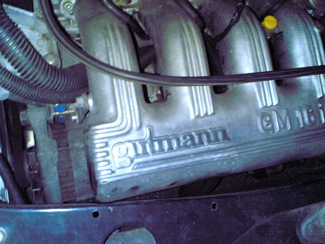 Peugeot 205 Gutmann 01092015