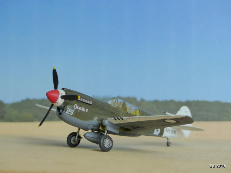 [Academy] Kittyhawk Mk. III RAAF Sqn 80 P1030116