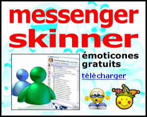 MSN 2009 Imgad10