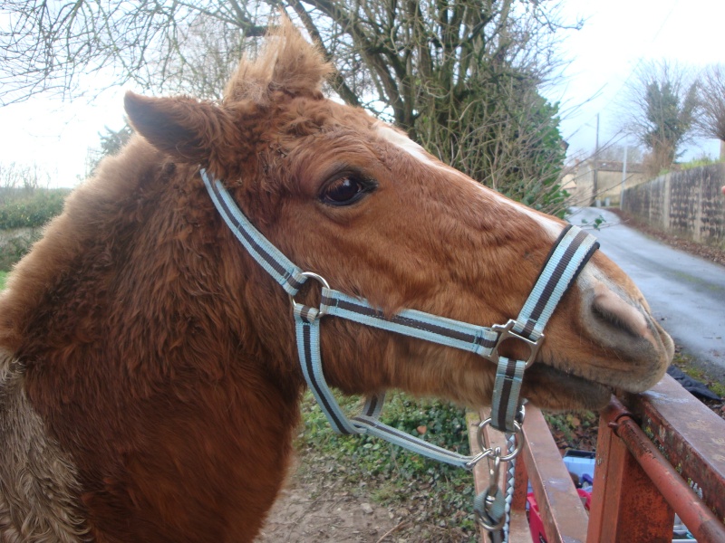 Mes amours. Dsc01110