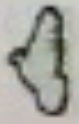 Logo en pantalla de Canal 9 Libertad - 1994 9liber10