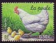 Enten, Gänse, Hühner, Puten und Fasane France12