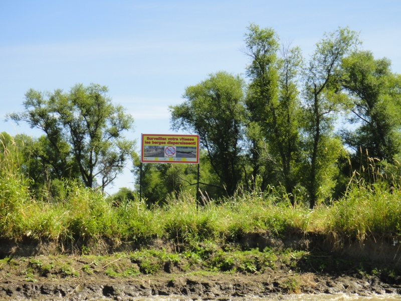 Îles de Berthier et de Sorel 2013 Sorel_16