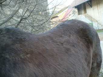 (25) BELLE ETOILE 19 ans 1m50 pour compagnie - Page 3 Belle_24