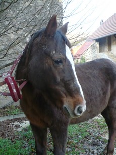 (25) BELLE ETOILE 19 ans 1m50 pour compagnie - Page 3 Belle_27
