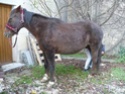 (25) BELLE ETOILE 19 ans 1m50 pour compagnie - Page 3 Belle_21