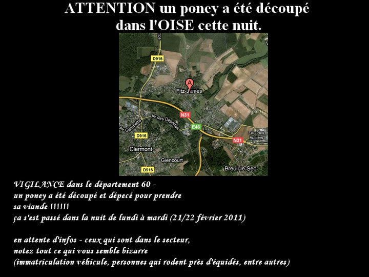 Poney dcoup dans l'Oise, appel  tmoins ! Alerte10